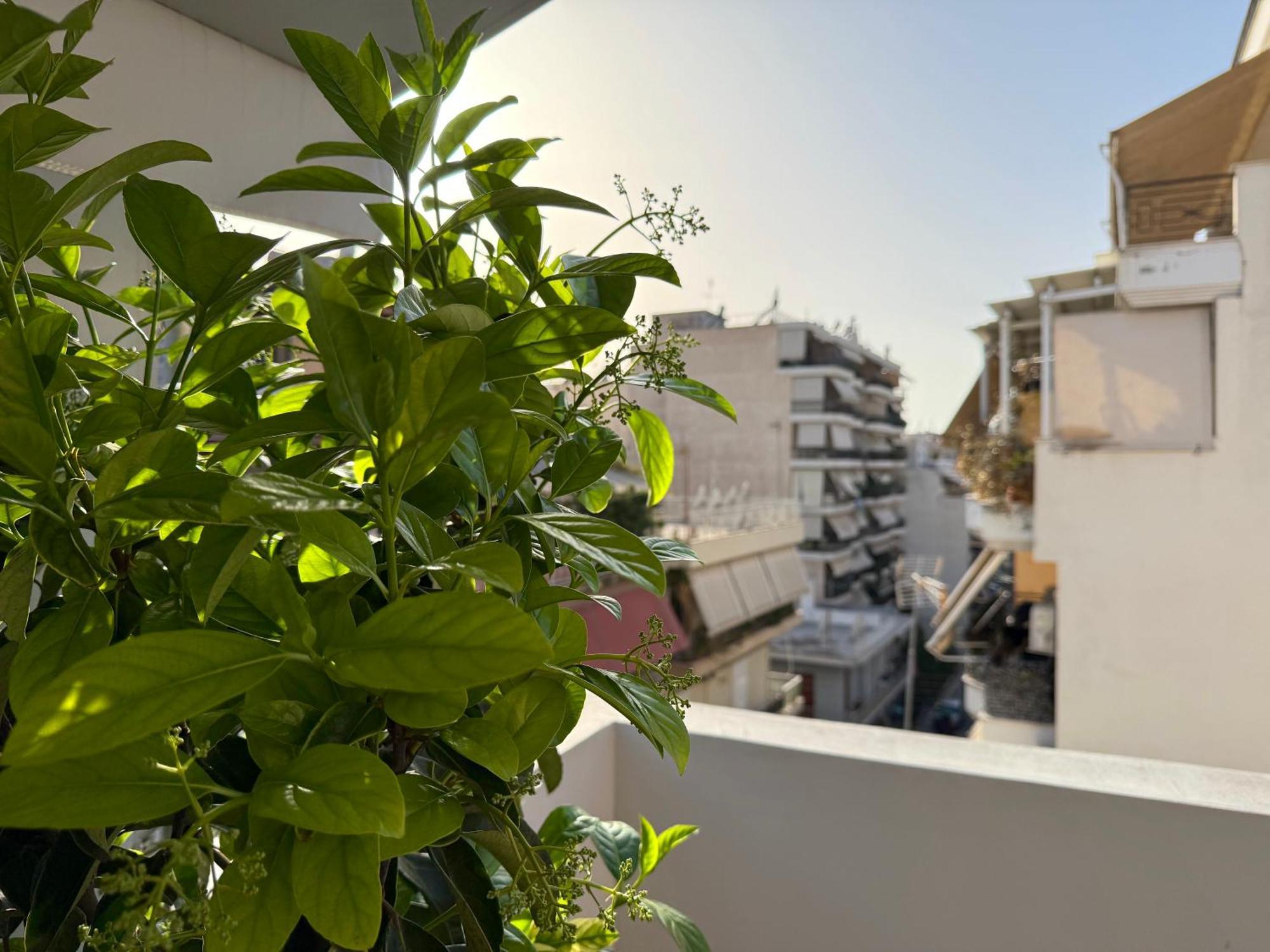 P&P Boutique Apartments Athens Luaran gambar
